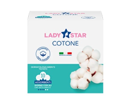 ASSORBENTI ESTERNI LADYSTAR COTONE GIORNO ALI 10 PEZZI - Farmafamily.it