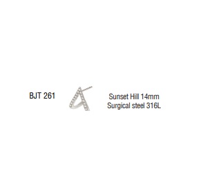 BJT261 ORECCHINO SUNSET HILL 14 MM SURGICAL STEEL - Farmafamily.it