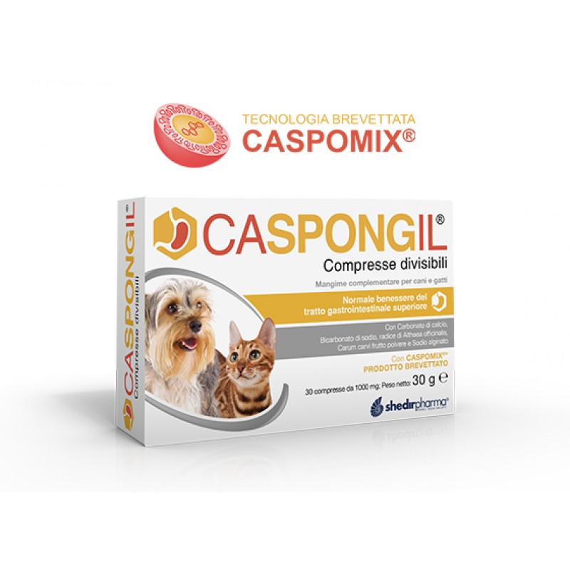 CASPONGIL 30 COMPRESSE DIVISIBILI - Farmafamily.it