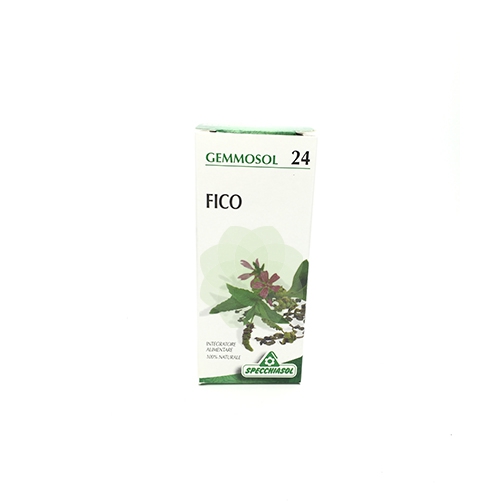 GEMMOSOL 24 FICO 50ML - Farmafamily.it