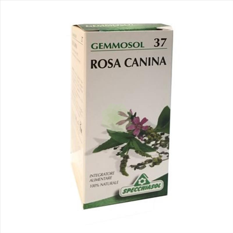 GEMMOSOL 37 ROSA CANINA 50ML - Farmafamily.it