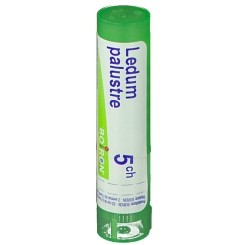 LEDUM PALUSTRE 5 CH GRANULI - Farmafamily.it