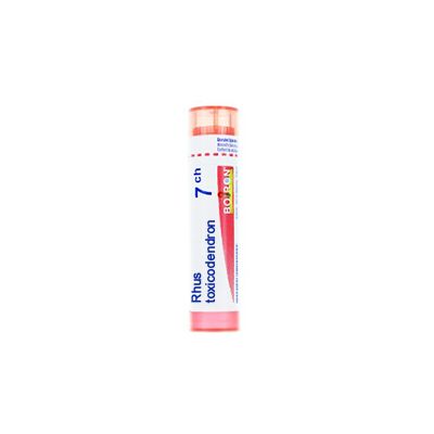 RHUS TOXICOD BOI*7CH 80GR 4G - Farmafamily.it