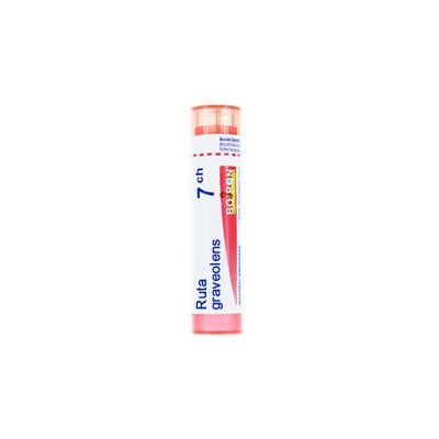 RUTA GRAV BOI*7CH 80GR 4G - Farmafamily.it