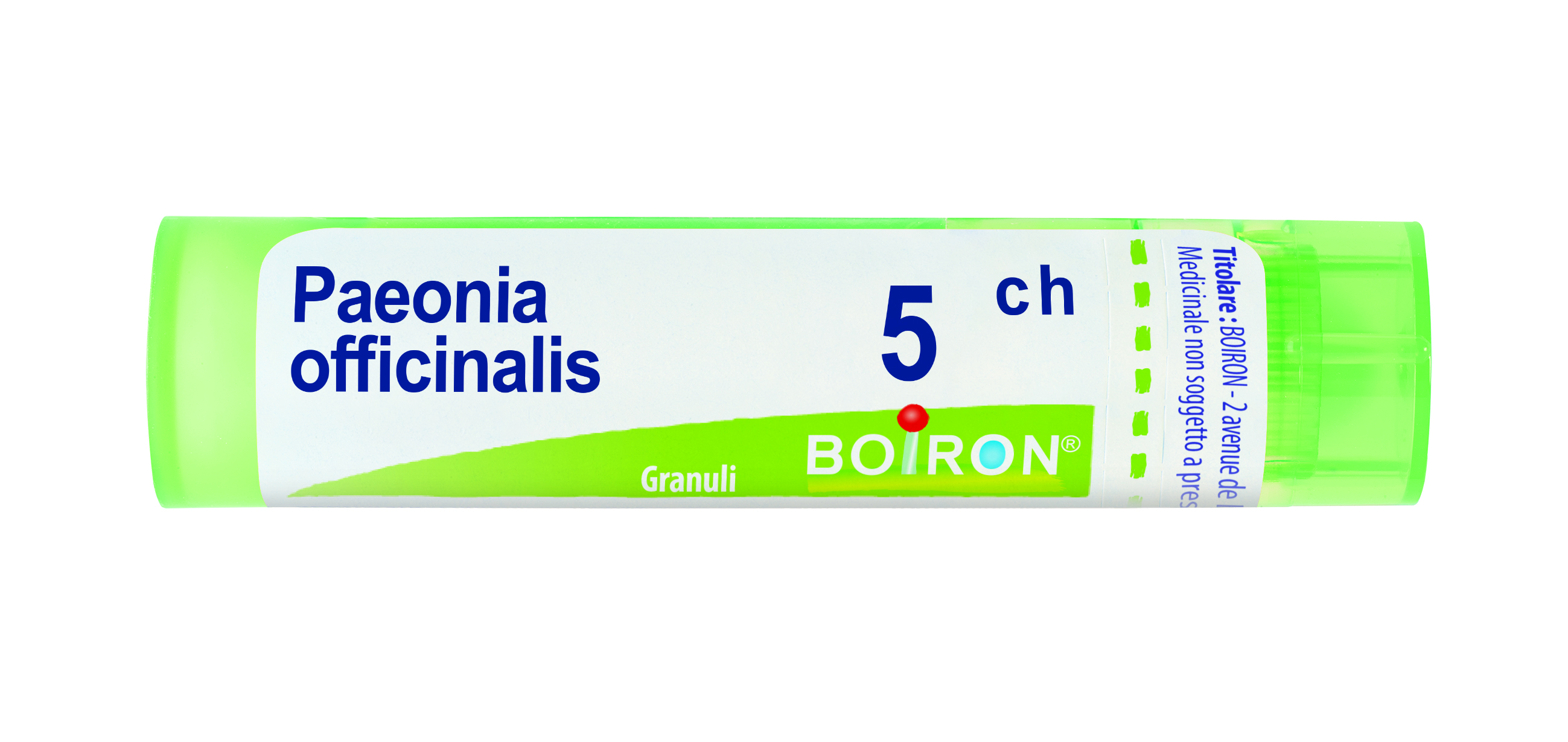 PAEONIA OFFICINALIS*5CH 80GR - Farmafamily.it