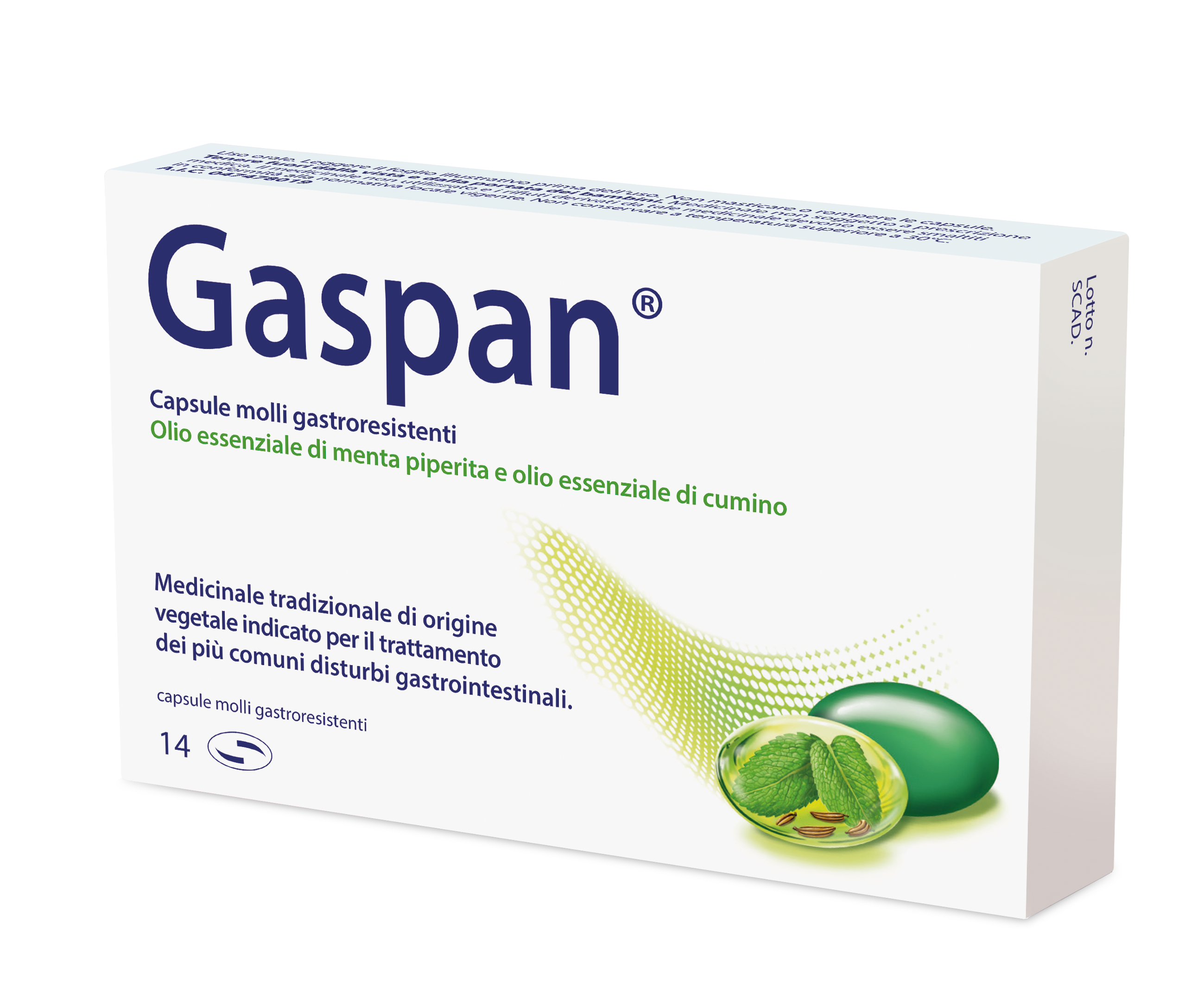 GASPAN*14CPS MOLLI GASTRORES - Farmafamily.it