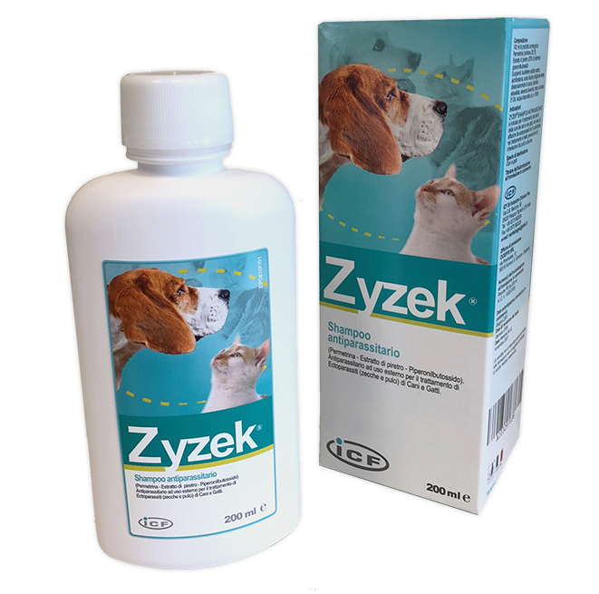 ZYZEK SHAMPOO ANT*FL PE 200ML - Farmafamily.it
