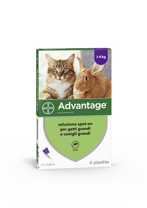 ADVANTAGE*4PIP 0,8ML SPOTON - Farmafamily.it