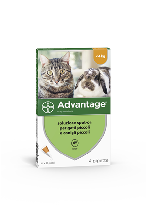 ADVANTAGE*4PIP 0,4ML SPOTON - Farmafamily.it