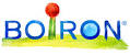 SILICEA 9 CH GRANULI - Farmafamily.it