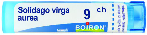 SOLIDAGO VIRGA AUREA 9CH GRANULI - Farmafamily.it