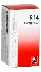 RECKEWEG R14 100 COMPRESSE - Farmafamily.it