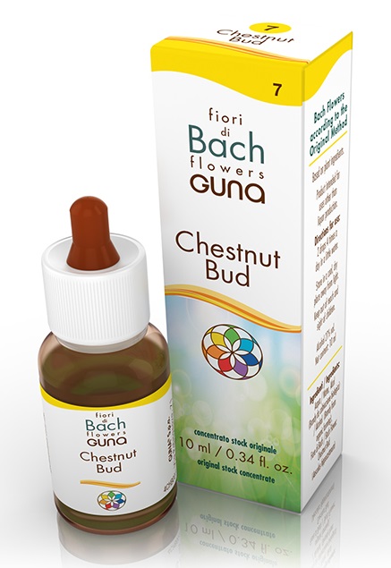 CHESTNUT BUD GOCCE 10 ML - Farmafamily.it