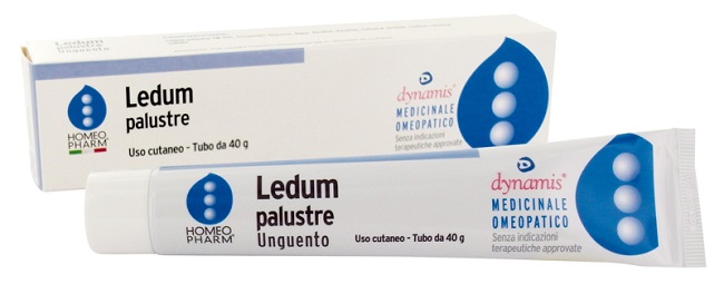 LEDUM PALUSTRE HOMEOPHARM UNGUENTO 40 G - Farmafamily.it