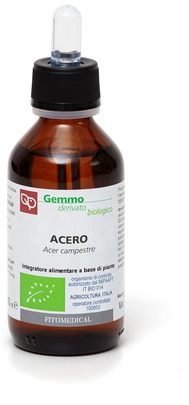 ACERO MACERATO GLICERICO 100 ML - Farmafamily.it
