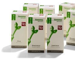 QUERCIA MACERATO GLICERICO 100 ML - Farmafamily.it