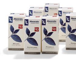 GINKGO BILOBA TINTURA MADRE 50 ML - Farmafamily.it