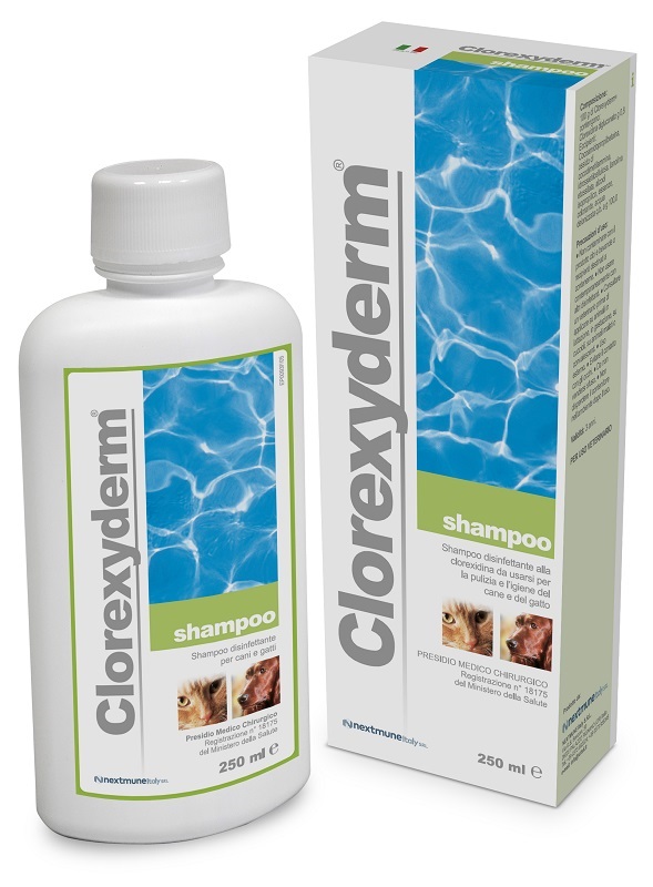 CLOREXYDERM SHAMPOO 250 ML - Farmafamily.it
