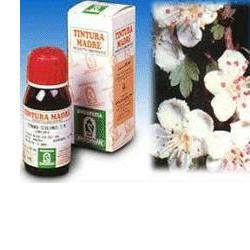 BIANCOSPINO 10 50ML TM - Farmafamily.it
