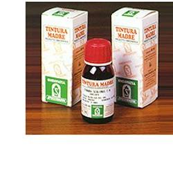 PUNGITOPO 24 50ML TM - Farmafamily.it