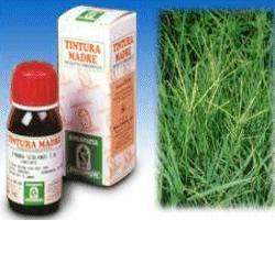 GRAMIGNA 37 50ML TM - Farmafamily.it