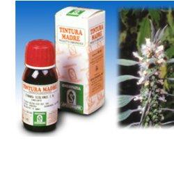 CARDIACA 16 50ML TM - Farmafamily.it