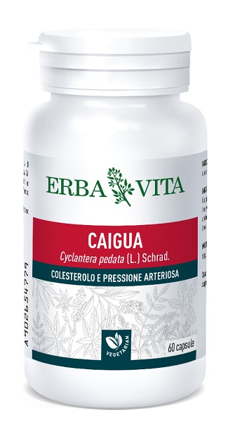 CAIGUA 60 CAPSULE 400 MG - Farmafamily.it