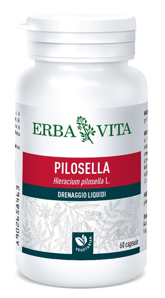 PILOSELLA 60 CAPSULE 400 MG - Farmafamily.it