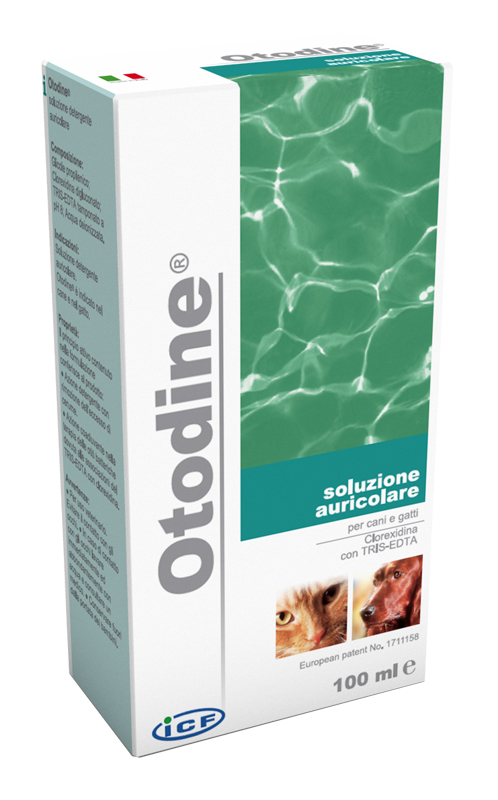 OTODINE DETERGENTE LIQUIDO 100 ML - Farmafamily.it