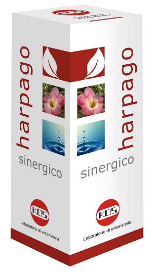 HARPAGO SINERGICO GOCCE 100 ML - Farmafamily.it