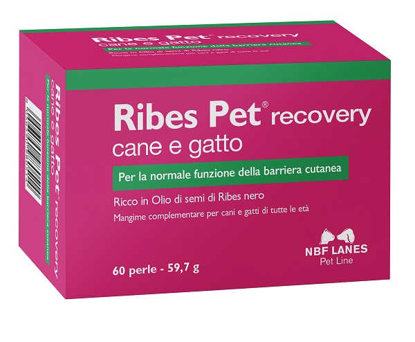RIBES PET RECOVERY BLISTER 60 PERLE - Farmafamily.it