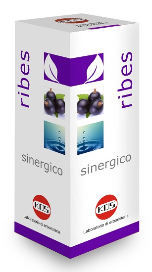 RIBES SINERGICO GOCCE 100 ML - Farmafamily.it