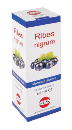 RIBES NIGRUM MACERATO GLICERICO 100 ML GOCCE - Farmafamily.it
