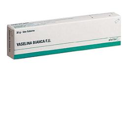 ALVITA VASELINA BIANCA UNG 30G - Farmafamily.it