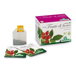 INFUSO BIO FRUTTA FRUTTI DI BOSCO 20 FILTRI - Farmafamily.it