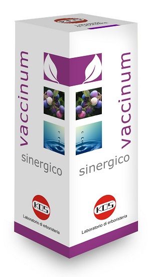 VACCINIUM SINERGICO GOCCE 100 ML - Farmafamily.it