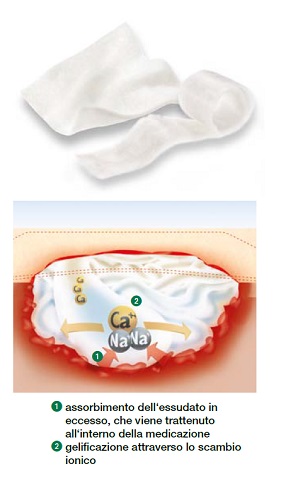 MEDICAZIONE SUPRASORB CON ALGINATO DI CALCIO 10X20CM 10 PEZZI - Farmafamily.it