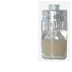 TAPPO STERILE PERFORATO LUER - Farmafamily.it