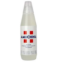 AMUCHINA DISINFETTANTE SOLUZIONE 100% CONCENTRATA  1 LITRO - Farmafamily.it