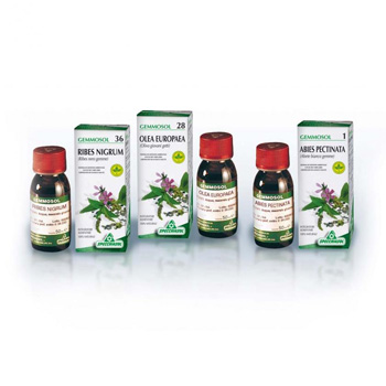 GEMMOSOL 46 TIGLIO ARGEN 50ML - Farmafamily.it