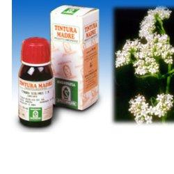 VALERIANA 36 TINTURA MADRE 50 ML - Farmafamily.it