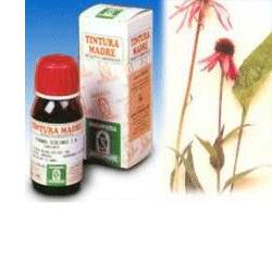 ECHINACEA 59 50ML TM - Farmafamily.it