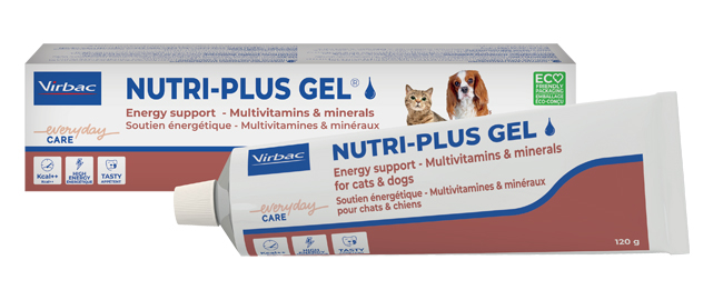 NUTRIPLUS GEL PASTA ORALE 120 G - Farmafamily.it