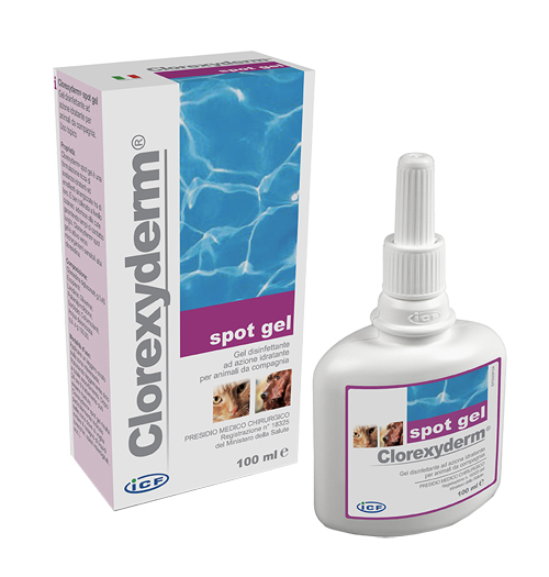 CLOREXYDERM SPOT GEL 100 ML - Farmafamily.it