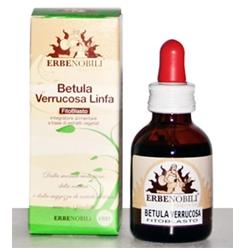 FITOBLASTO BETULLA VERRUCOSA LINFA 50 ML - Farmafamily.it