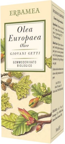 OLEA EUROPEA OLIVO BIO 50 ML - Farmafamily.it