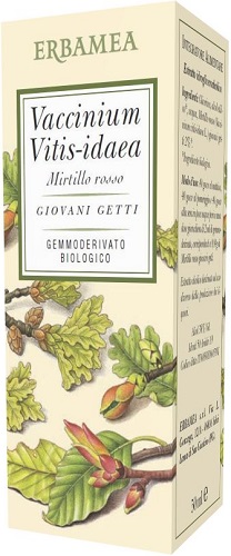 VACCINIUM VITIS IDAEA MIRTILLO ROSSO BIO 50 ML - Farmafamily.it