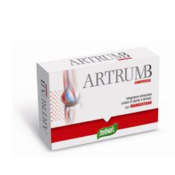 ARTRUM B CON MANGOSTANO 48 COMPRESSE 31 G - Farmafamily.it