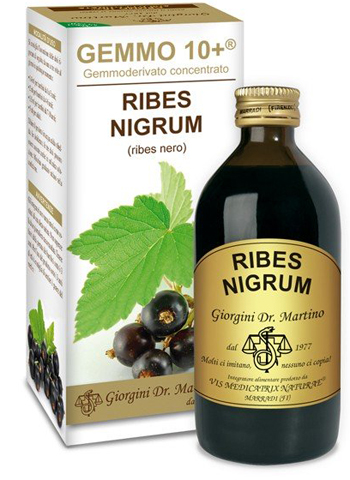 GEMMO 10+ RIBES NERO 200 ML LIQUIDO ANALCOLICO - Farmafamily.it