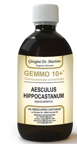 GEMOO 10+ GEMMODERIVATO CONCENTRATO IPPOCASTANO LIQUIDO ANALCOLICO AESCULUS HIPPOCASTANUM IPPOCASTANO 500 ML - Farmafamily.it